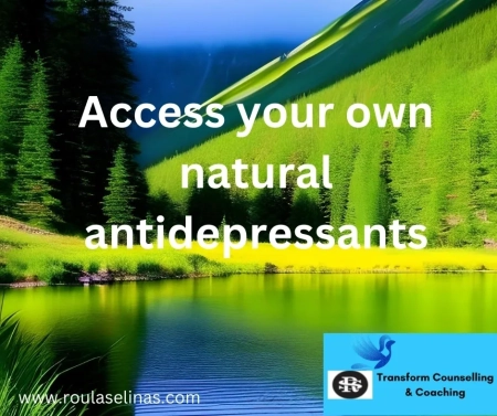 Learn How To Access Your Own Natural Anti Depressants Natural Remedies For Depression