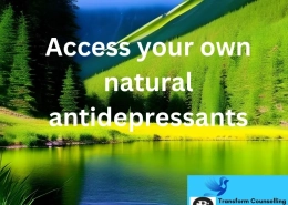 Learn How To Access Your Own Natural Anti Depressants Natural Remedies For Depression