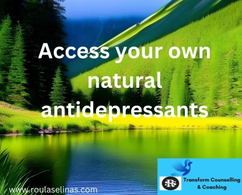 Learn How To Access Your Own Natural Anti Depressants Natural Remedies For Depression
