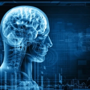 Neuroplasticity, What is it and How Can You Benefit