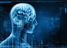 Neuroplasticity, What is it and How Can You Benefit