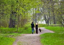 Understanding and Overcoming Barriers to Happiness Happiness Barriers