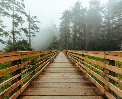peace walk over bridge in nature