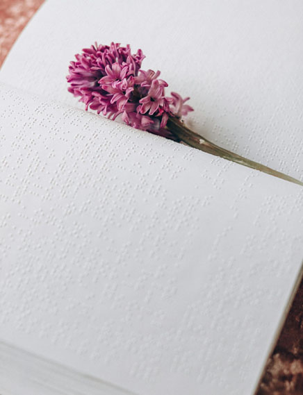Flower on the Braille Book